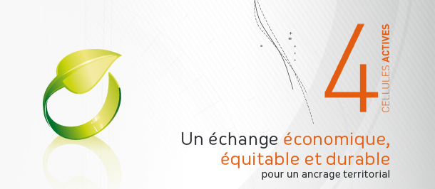 Ecopole Conseil